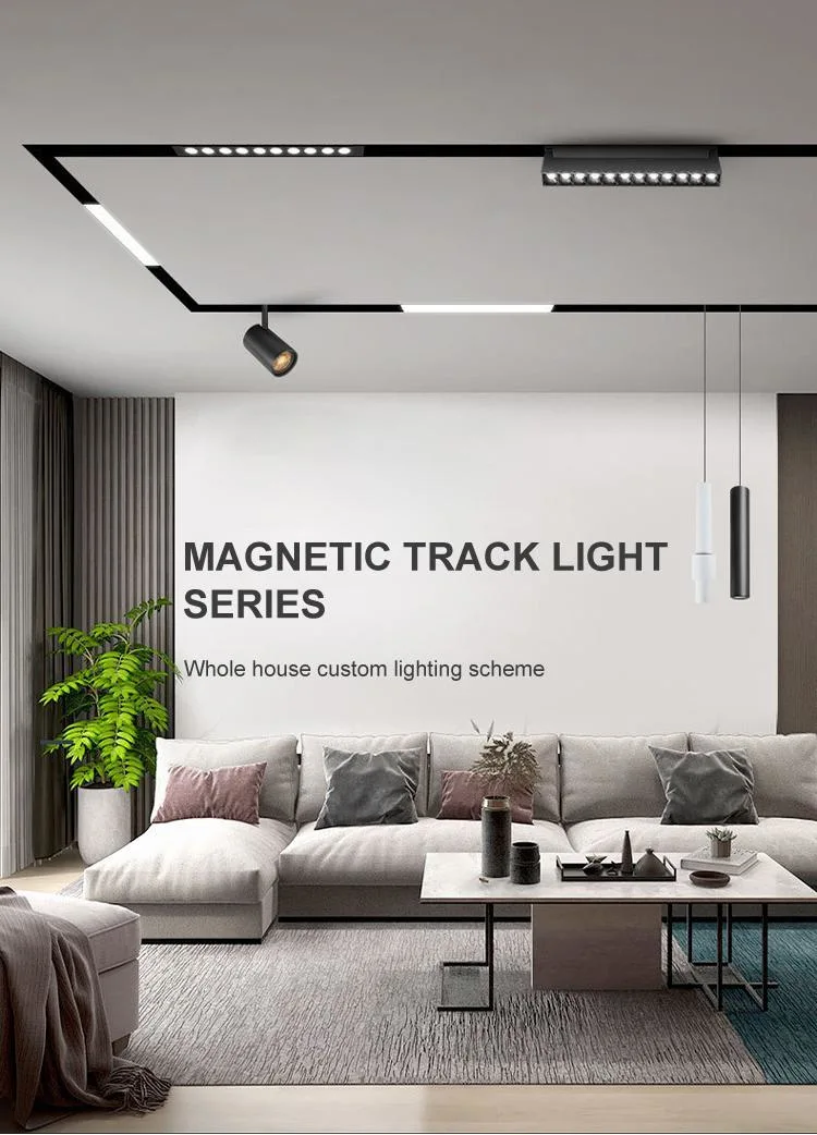 Recessed Rail Magnet COB Magnetic Smart Dimmable LED Track Light System Aluminum for Indoor Ceiling DC 48V 6W 10W 20W 30W Body