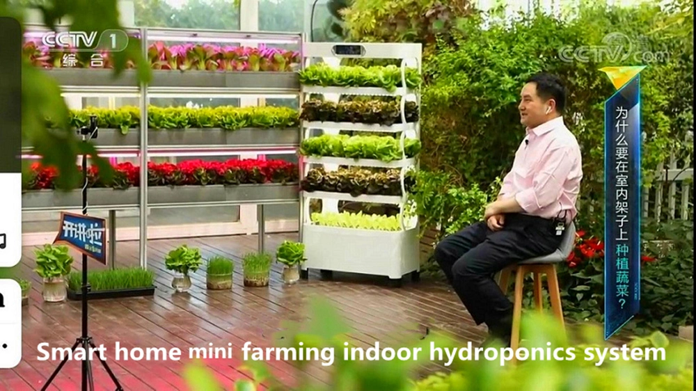 Home Garden Smart Nft Hydroponics System with LED Grow Lights